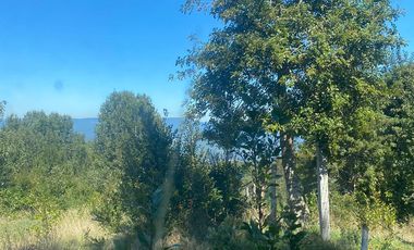 VENTA PARCELA 14350MTS Lanco