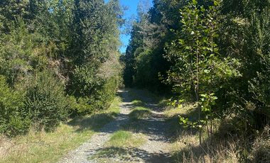 VENTA PARCELA 14350MTS Lanco