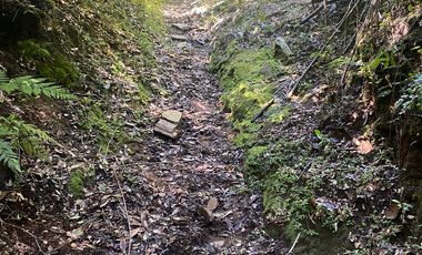 VENTA PARCELA 14350MTS Lanco