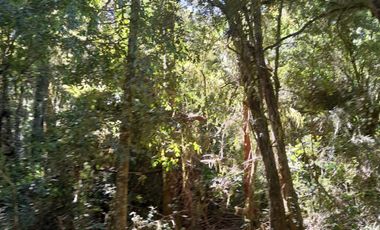 VENTA PARCELA 14350MTS Lanco