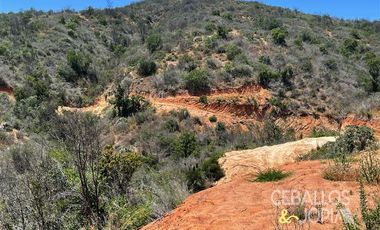 Parcela en Venta en Los Coligues , Quilpue