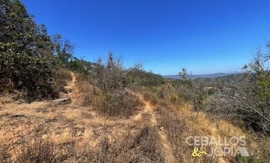 Parcela en Venta en Los Coligues , Quilpue