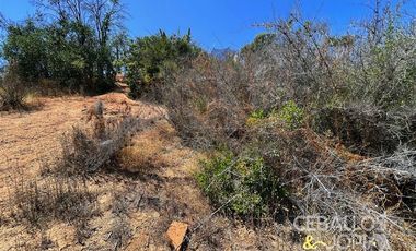 Parcela en Venta en Los Coligues , Quilpue