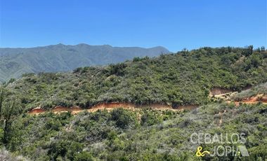 Parcela en Venta en Los Coligues , Quilpue
