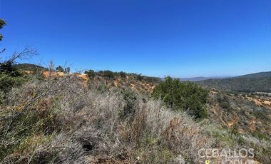 Parcela en Venta en Los Coligues , Quilpue