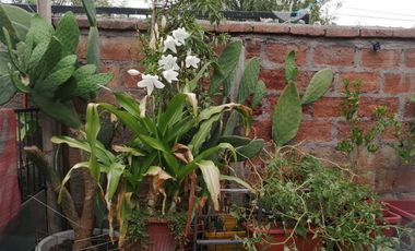 Casa en Venta en Avenida Andrés Bello a 4 cuadras del Metro Observatorio