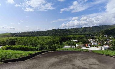 VENDO LOTE ESQUINERO ,INCLINADO EN SENDEROS DE VERDE HORIZONTE - JAMUNDI