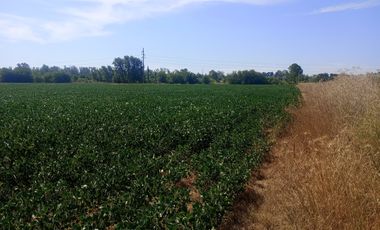 VENDE FRACCION 2 HAS. EN PÉREZ