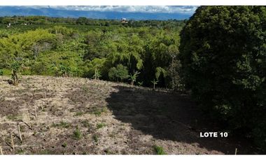 LOTES EN PARCELACION ENTRE MONTENEGRO Y QUIMBAYA