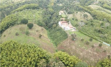 LOTES EN PARCELACION ENTRE MONTENEGRO Y QUIMBAYA