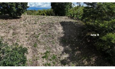 LOTES EN PARCELACION ENTRE MONTENEGRO Y QUIMBAYA