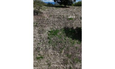 LOTES EN PARCELACION ENTRE MONTENEGRO Y QUIMBAYA