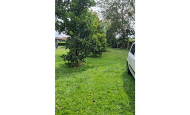 9664 m2 CABUYAL FINCA AGRICOLA PRODUCTIVA AGUA ABUNDANTE  2 FINCAS