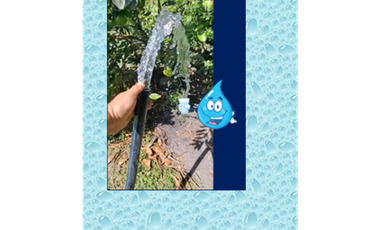 9664 m2 CABUYAL FINCA AGRICOLA PRODUCTIVA AGUA ABUNDANTE  2 FINCAS