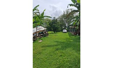 9664 m2 CABUYAL FINCA AGRICOLA PRODUCTIVA AGUA ABUNDANTE  2 FINCAS