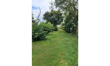 9664 m2 CABUYAL FINCA AGRICOLA PRODUCTIVA AGUA ABUNDANTE  2 FINCAS