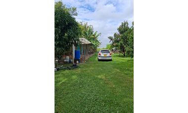 9664 m2 CABUYAL FINCA AGRICOLA PRODUCTIVA AGUA ABUNDANTE  2 FINCAS