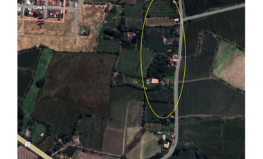 9664 m2 CABUYAL FINCA AGRICOLA PRODUCTIVA AGUA ABUNDANTE  2 FINCAS