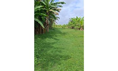 9664 m2 CABUYAL FINCA AGRICOLA PRODUCTIVA AGUA ABUNDANTE  2 FINCAS