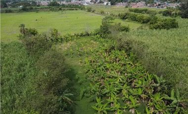 9664 m2 CABUYAL FINCA AGRICOLA PRODUCTIVA AGUA ABUNDANTE  2 FINCAS