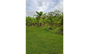 9664 m2 CABUYAL FINCA AGRICOLA PRODUCTIVA AGUA ABUNDANTE  2 FINCAS