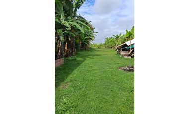 9664 m2 CABUYAL FINCA AGRICOLA PRODUCTIVA AGUA ABUNDANTE  2 FINCAS