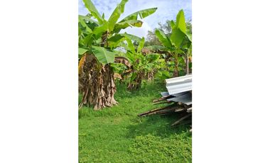 9664 m2 CABUYAL FINCA AGRICOLA PRODUCTIVA AGUA ABUNDANTE  2 FINCAS