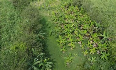 9664 m2 CABUYAL FINCA AGRICOLA PRODUCTIVA AGUA ABUNDANTE  2 FINCAS