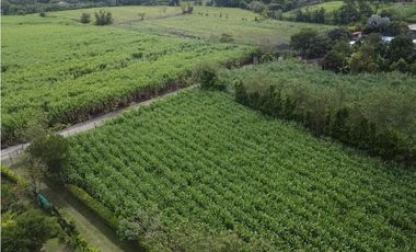 9664 m2 CABUYAL FINCA AGRICOLA PRODUCTIVA AGUA ABUNDANTE  2 FINCAS