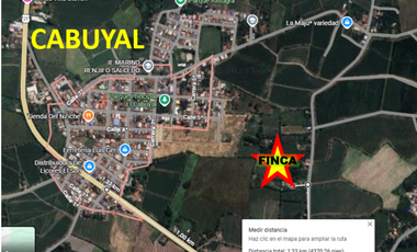 9664 m2 CABUYAL FINCA AGRICOLA PRODUCTIVA AGUA ABUNDANTE  2 FINCAS