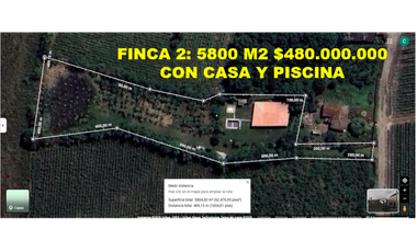 9664 m2 CABUYAL FINCA AGRICOLA PRODUCTIVA AGUA ABUNDANTE  2 FINCAS