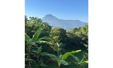 VENTA FINCA, AMAGA SUROESTE ANTIOQUEÑO