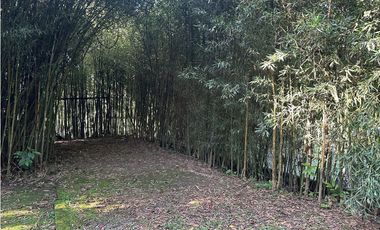 VENTA FINCA, AMAGA SUROESTE ANTIOQUEÑO