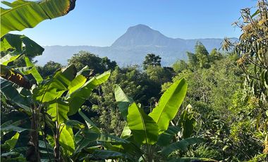 VENTA FINCA, AMAGA SUROESTE ANTIOQUEÑO
