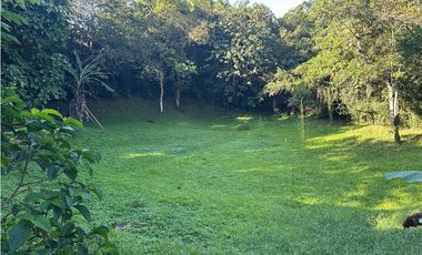 VENTA FINCA, AMAGA SUROESTE ANTIOQUEÑO