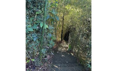 VENTA FINCA, AMAGA SUROESTE ANTIOQUEÑO