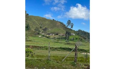 Finca Agropecuaria en Venta en Santo Domingo Antioquia