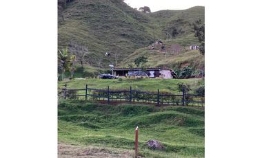Finca Agropecuaria en Venta en Santo Domingo Antioquia