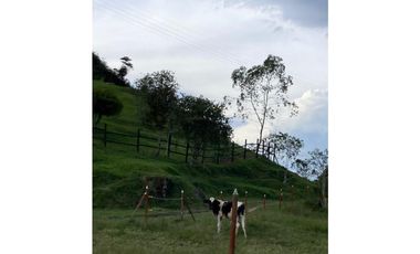 Finca Agropecuaria en Venta en Santo Domingo Antioquia