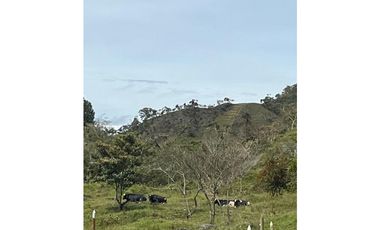 Finca Agropecuaria en Venta en Santo Domingo Antioquia