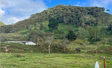 Finca Agropecuaria en Venta en Santo Domingo Antioquia