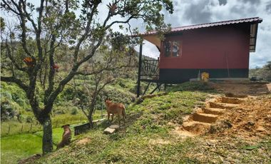 Vendo Casa y Fonda En Santo Domingo