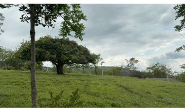 LOTES EN VENTA - PARCELACION LOS ALPES - GINEBRA REF: 9758830