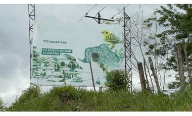 LOTES EN VENTA - PARCELACION LOS ALPES - GINEBRA REF: 9758830