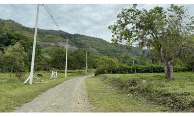 LOTES EN VENTA - PARCELACION LOS ALPES - GINEBRA REF: 9758830