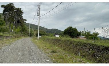 LOTES EN VENTA - PARCELACION LOS ALPES - GINEBRA REF: 9758830