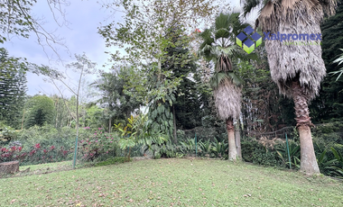 Xalapa Casa en Renta zona Centro