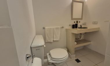 Departamento 1 ambiente Alquiler Temporal Tigre Centro con muebles