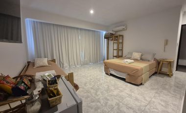 Departamento 1 ambiente Alquiler Temporal Tigre Centro con muebles