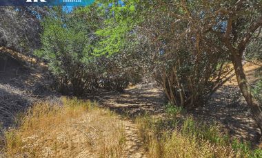 HERMOSA PARCELA CONDOMINIO BOSQUE DE ACUELO